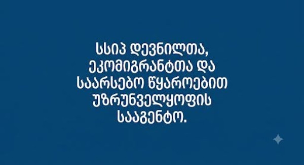 სსიპ დევნილთა, ეკომიგრანტთა და საარსებო წყაროებით უზრუნველყო...