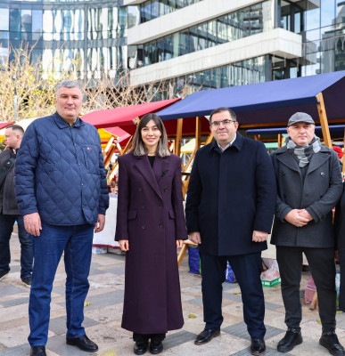 აფხაზეთის საშობაო სოფელი